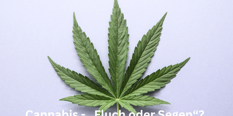 Cannabis - „Fluch oder Segen“ Chancen und Risiken der Cannabis Legalisierung