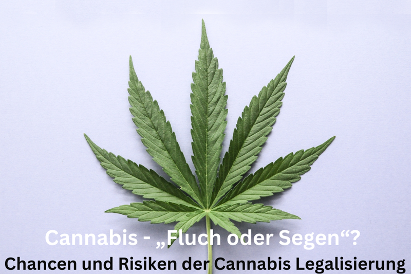 Cannabis - „Fluch oder Segen“ Chancen und Risiken der Cannabis Legalisierung